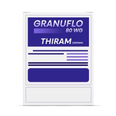 Granuflo盒子模型